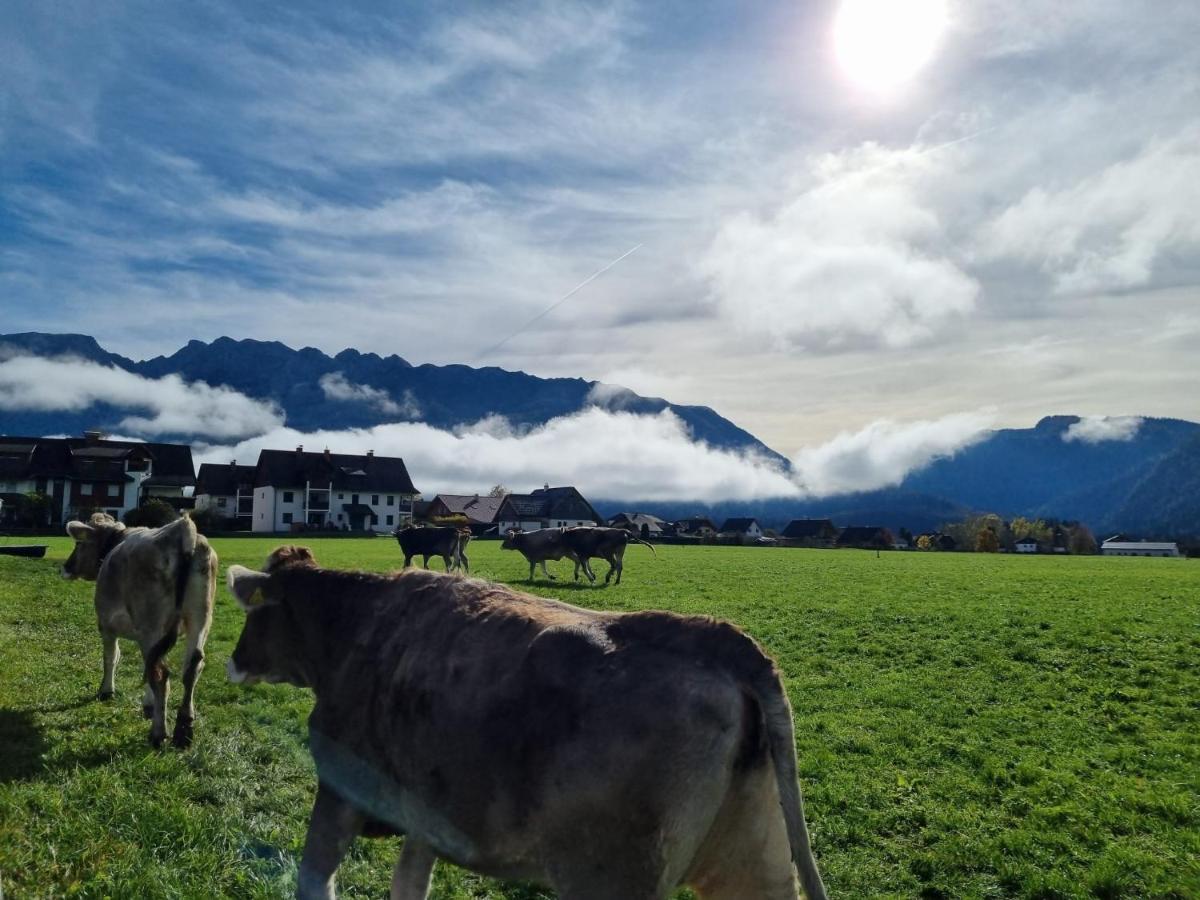 Urlaub Am Bauernhof Bei Familie Steinbrecher Bad Mitterndorf Eksteriør billede